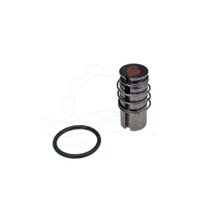 Kit di riparazione elettrovalvola Jakša D221 0-35bar FPM (298213)