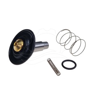 Kit di riparazione elettrovalvola Bürkert 6213 0-10bar DN13 FKM MS DC