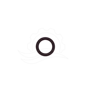 O-ring sede ugello per schiuma R+M/Easywash FKM