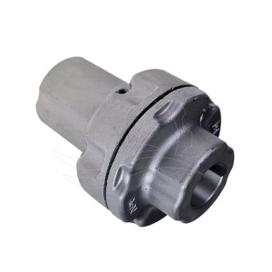 Giunto pompa Interpump ZG151