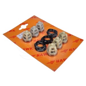 Valvole pompa Hawk NMT CW (1.905-543.0)