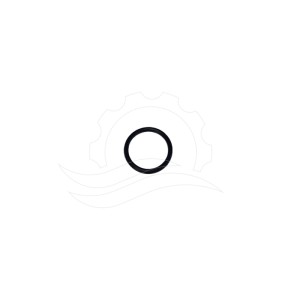 O-ring valvola pompa Cat 3CP NBR (17547)