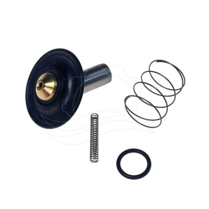 Kit di riparazione elettrovalvola Bürkert 6213 0-10bar DN13 EPDM MS AC