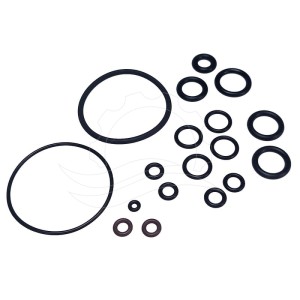 Kit guarnizioni pompa dosatrice Seko Tekna Evo APG