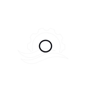 O-ring valvola pompa Hawk NHD/NHDP (11)