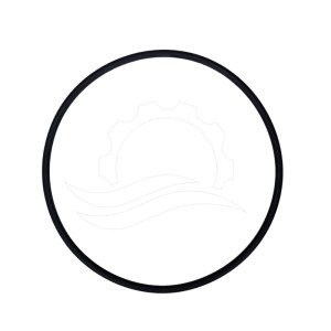 O-ring coperchio dosatore Dosatron D25RE2 (J042)
